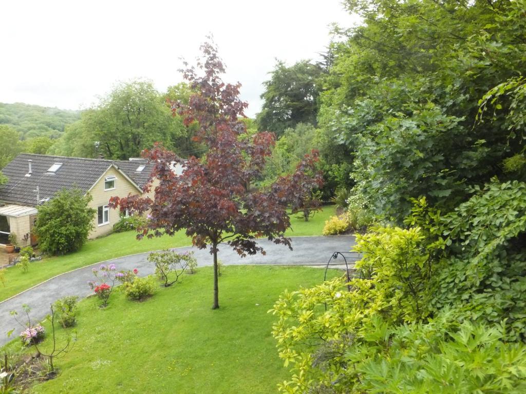 Bed and Breakfast Shrubdown à Freshford Extérieur photo