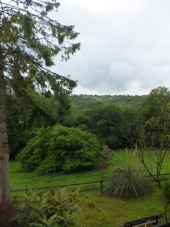 Bed and Breakfast Shrubdown à Freshford Extérieur photo